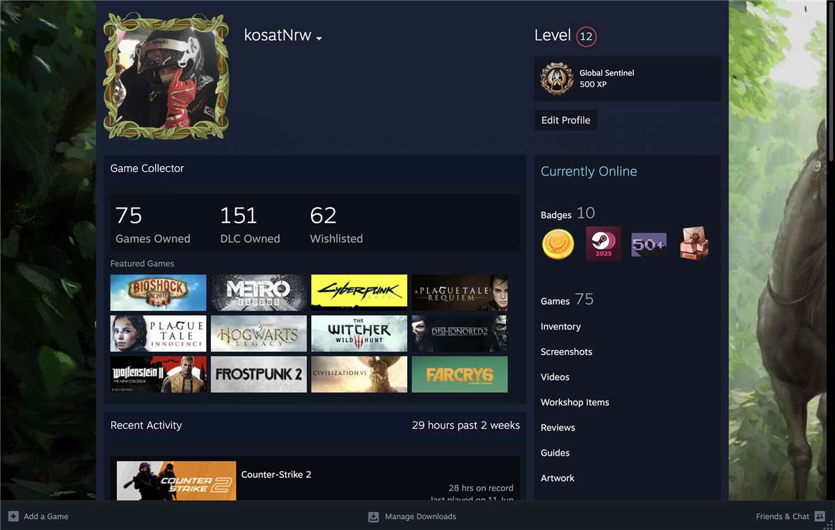 продажа аккаунта к игре Steam